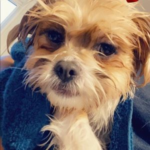 Meet your Posher, Areli